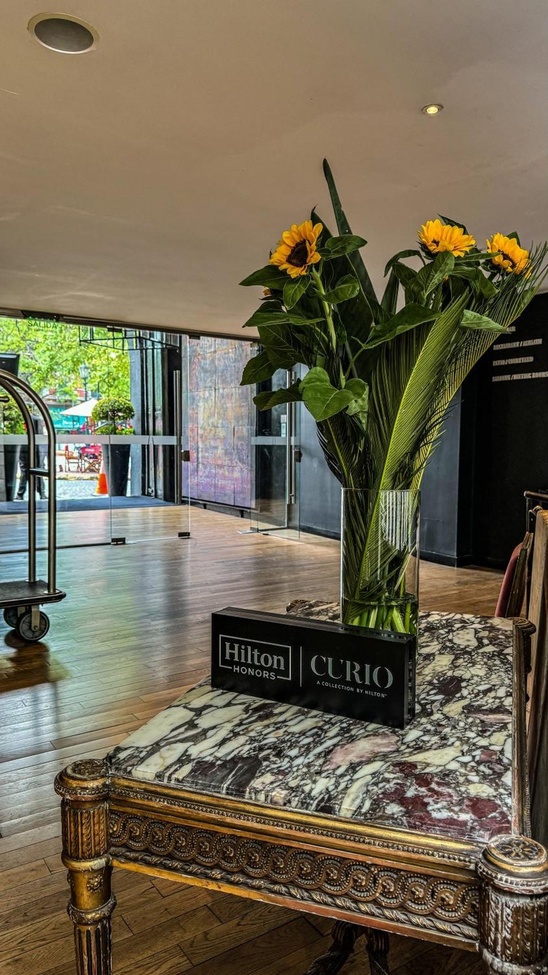 Anselmo Buenos Aires, Curio Collection By Hilton Ciudad Autónoma de Buenos Aires